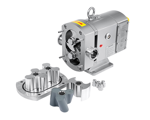 pneumatic-motor