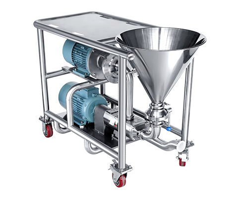 Homogeneous mixing pump with Lobe Pumps